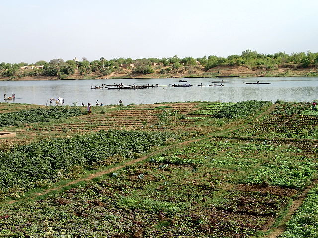 Plusieurs jardins en clôture de haie