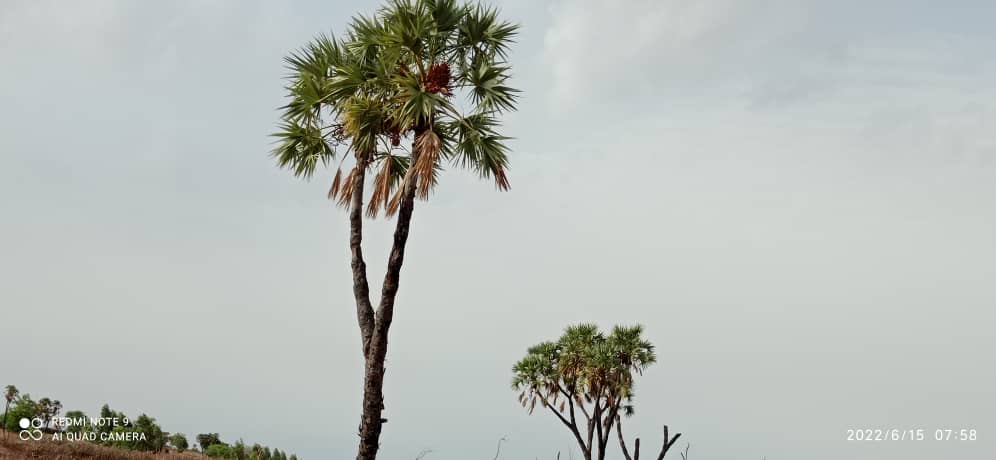 Un paysage